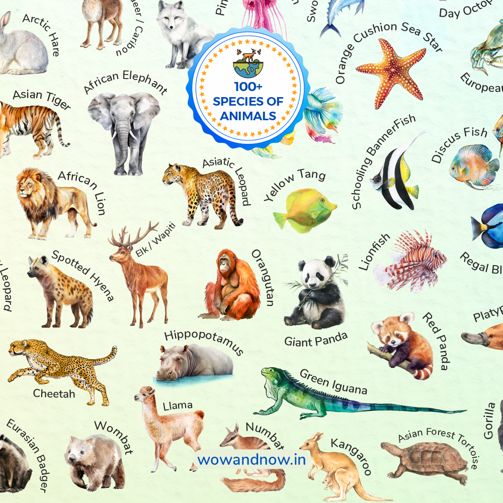 Personalized Animal World Map Wall Art with The Animal Quest Poster