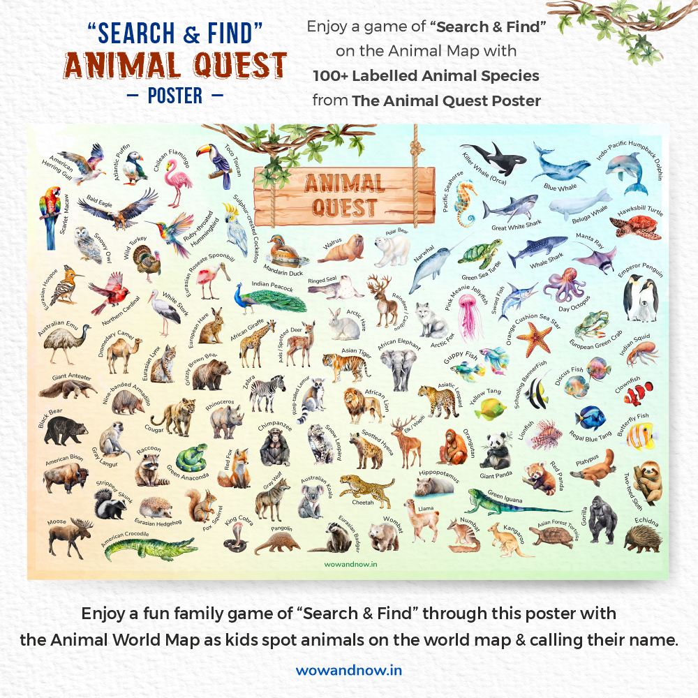 Personalized Animal World Map Wall Art with The Animal Quest Poster